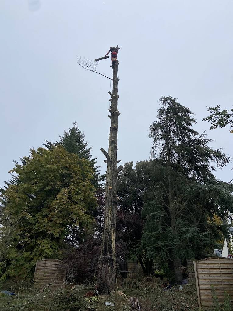 Démontage sécurisé